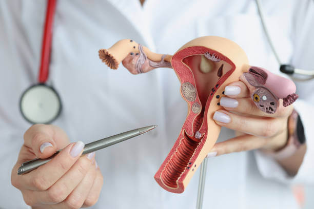Gynecology & Obstetrics